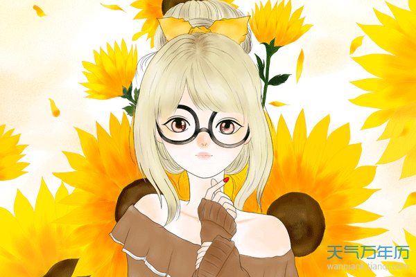 wnl_pc