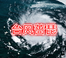 2021年第5号台风蔷琵