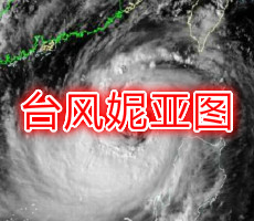 台风妮亚图