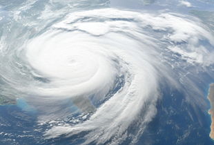 臺(tái)風(fēng)楊柳