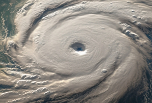 臺風(fēng)風(fēng)神