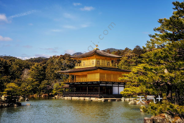 去日本旅游要去哪里玩(去日本旅游要去哪里玩呢)