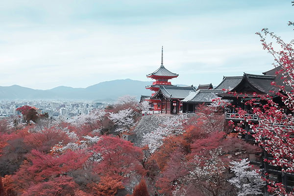 日本最值得旅游的城市 日本好玩的旅游城市