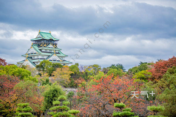 日本景点排行_日本各大学3年生9000人心中的“就职胜地”排行TOP100