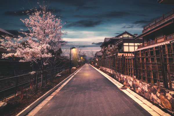 日本樱花季是几月 日本樱花季是什么时候