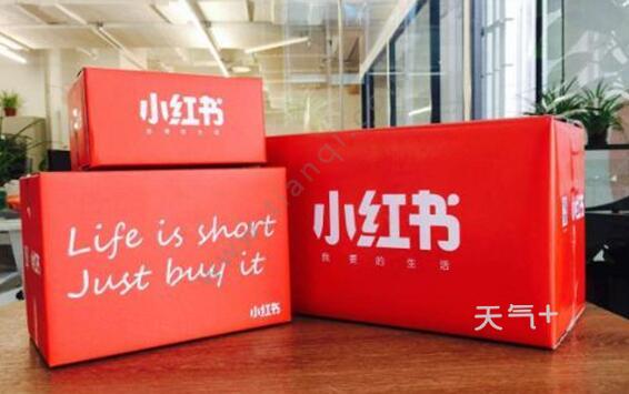 小红书被安卓应用商店下架是怎么回事 小红书下架原因是什么
