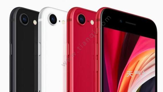 iphonese2021款 tqjia