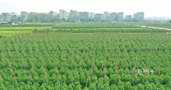 人口少_香港人口将重构!湾仔及中西区人口流失加剧,8年后全港最少!