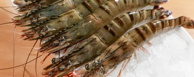 什么是海鲜类的食物 海鲜指的是哪些食物