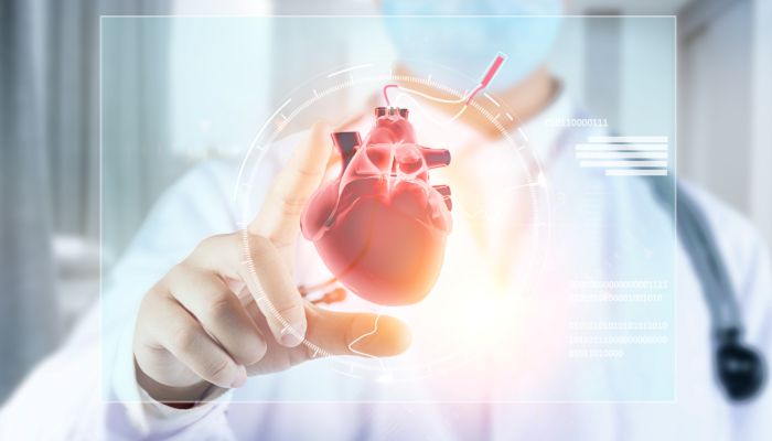 美国心脏病患者接受猪心移植是怎么回事 美国心脏病患者接受猪心移植能成功吗