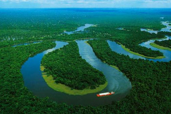 地球之肺指的是什么生态系统 亚马逊热带雨林