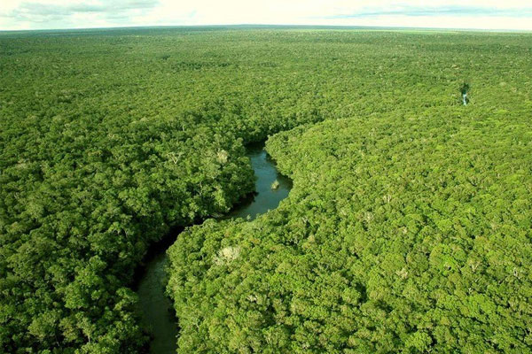 地球之肺指的是什么生态系统 亚马逊热带雨林