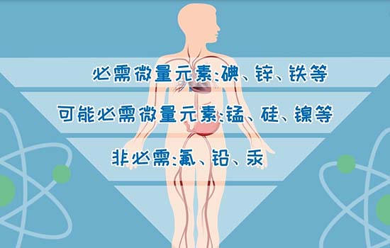 微量元素在人体内分布不均匀,任何一种元素过少或过量都会对人体有