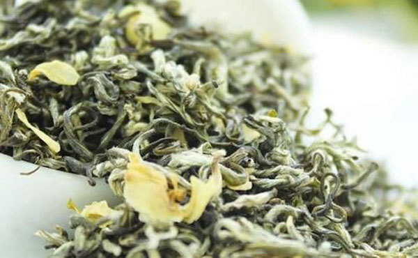 茉莉花茶是绿茶吗 茉莉花茶有什么养生保健功效
