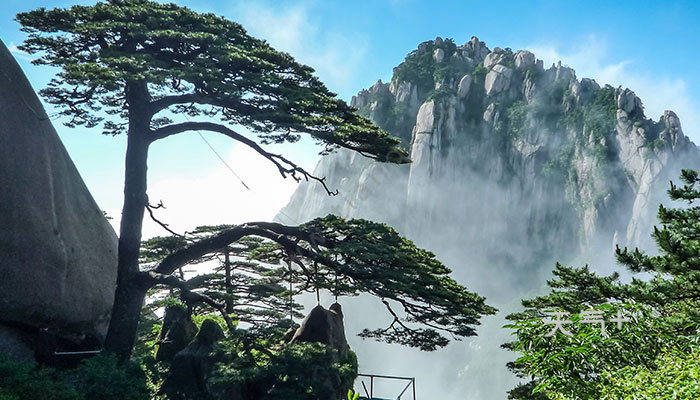 黄山旅游资讯(黄山旅游600054)