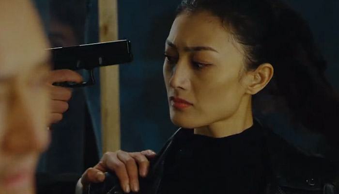 特警本色剧情介绍