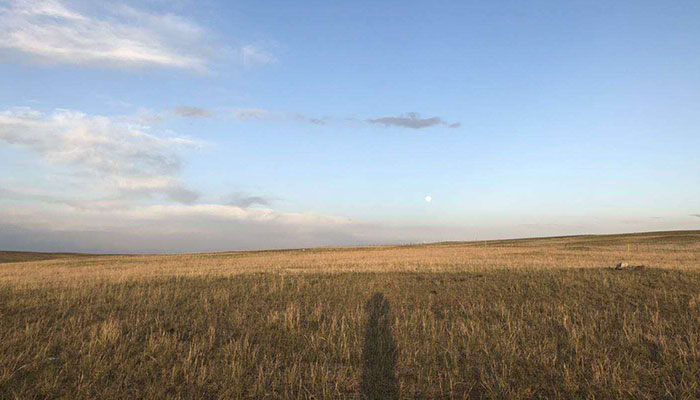 希拉穆仁草原旅游项目推荐 希拉穆仁草原有哪些旅游项目