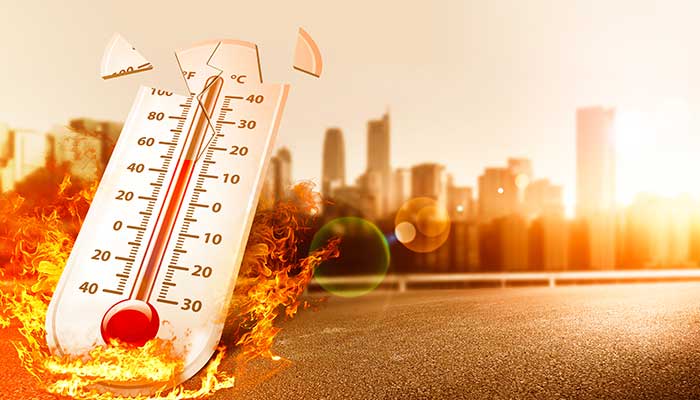 加拿大高温致130多人死亡是怎么回事 加拿大高温致130多人死亡是什么情况