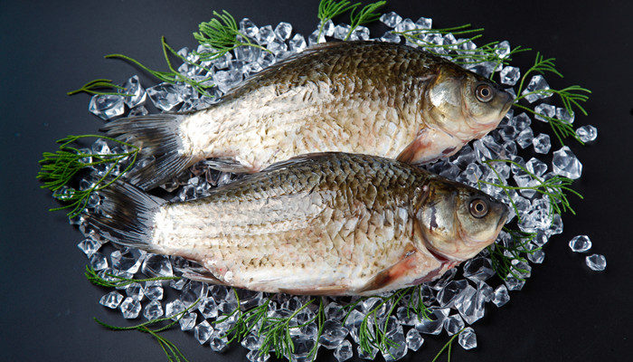 塘鳢有哪些功效塘鳢的营养价值及功效