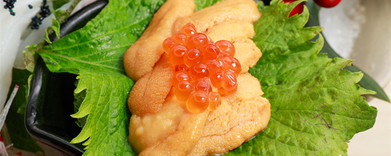 白子是什么白子是什么部位