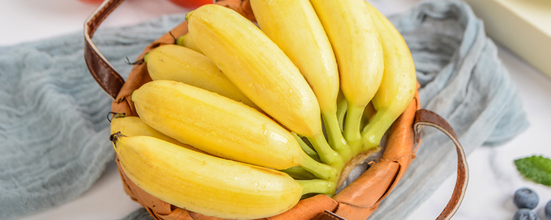 芭蕉和香蕉区别在哪 芭蕉和香蕉区别在哪里