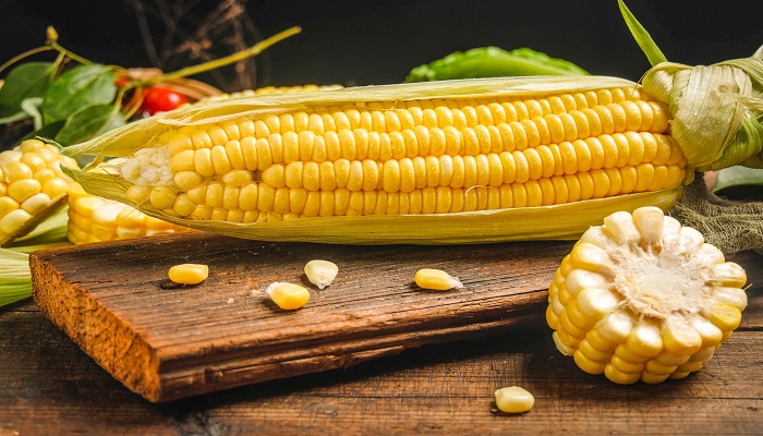 玉米的产地 玉米的产地是哪个国家 