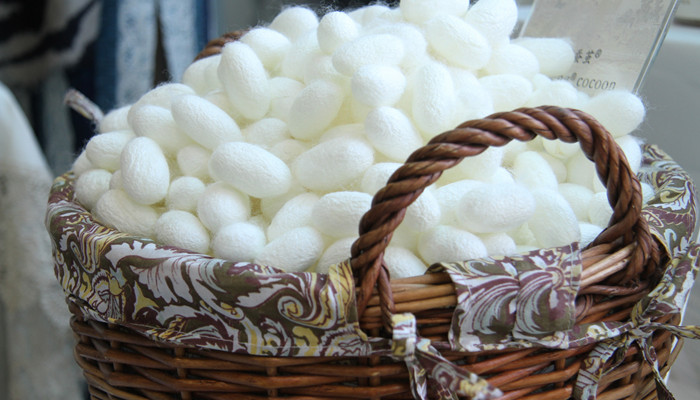 据考古发现,约在4700年前中国已利用蚕丝制做丝线,编织丝带和简单的丝