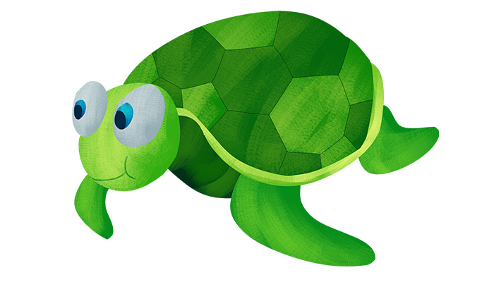 巴西龟可以干养吗 巴西龟能干养吗