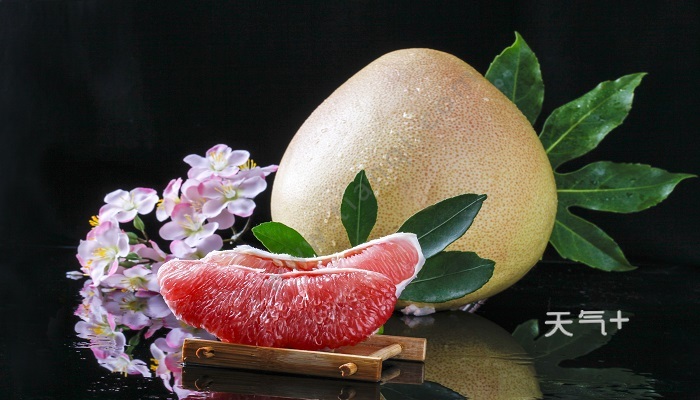tqjia