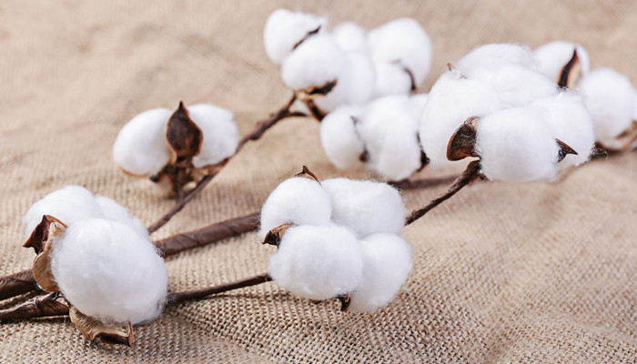 棉混纺是什么面料 棉混纺是什么面料组成的