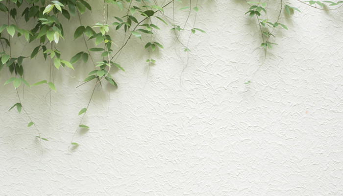 哪些花植物能爬墙 什么植物能爬墙 