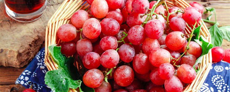 葡萄品种有哪些 葡萄品种有哪些你知道吗