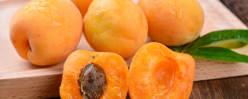 杏子什么季节成熟 杏子是几月份成熟的