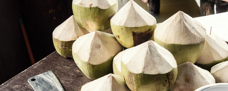 椰子什么季节成熟 椰子的成熟期是什么时候