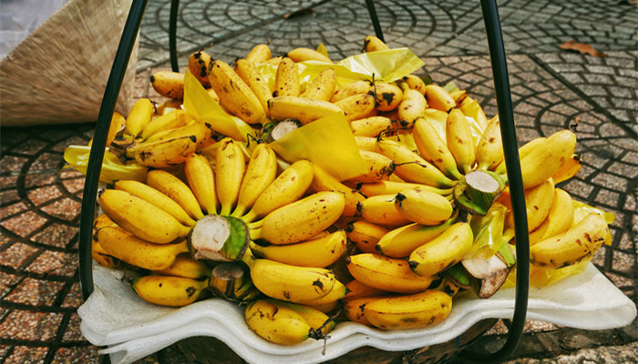 小米蕉和香蕉的区别 小米香蕉和普通香蕉的区别