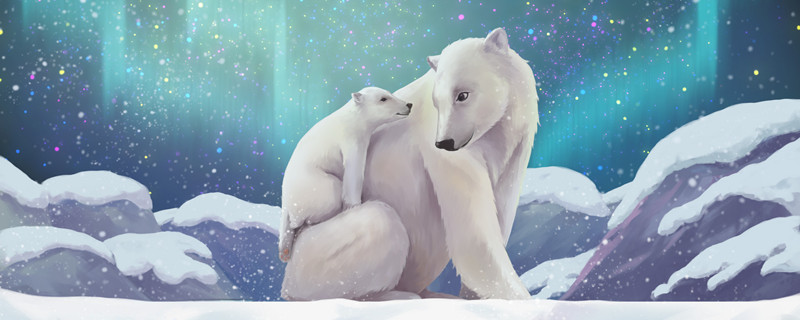 北极熊冬眠吗 北极熊会冬眠吗 