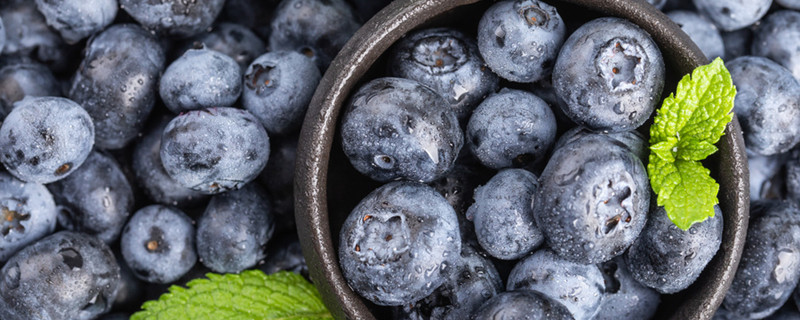 蓝莓籽能吃吗 蓝莓籽可以吃吗