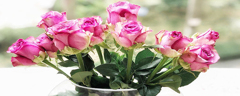 五朵玫瑰花代表什么意思 送玫瑰花的含义是什么意思