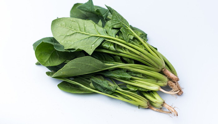 长寿菜是什么菜长寿菜有什么功效