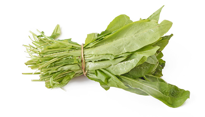 长寿菜是什么菜长寿菜有什么功效