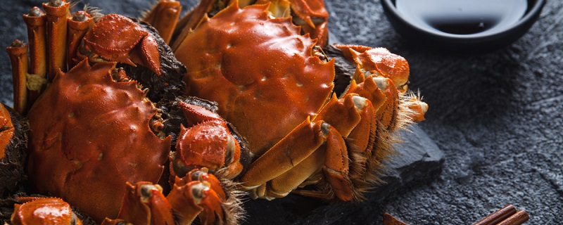 死螃蟹能吃吗 死螃蟹能不能吃
