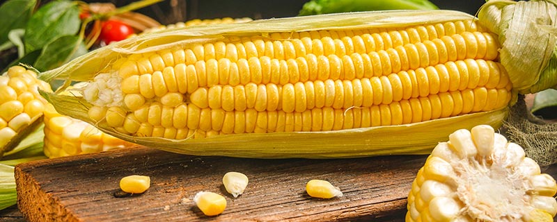 玉米煮多久就可以熟了 玉米通常煮多久就可以熟了