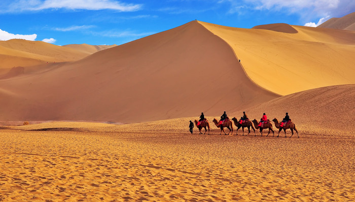 单峰骆驼与两峰骆驼的不同之处和特点 单峰骆驼与两峰骆驼的区别 单峰骆驼和双峰骆驼