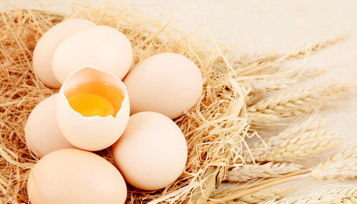 鸡蛋是素食还是荤食 鸡蛋有什么营养