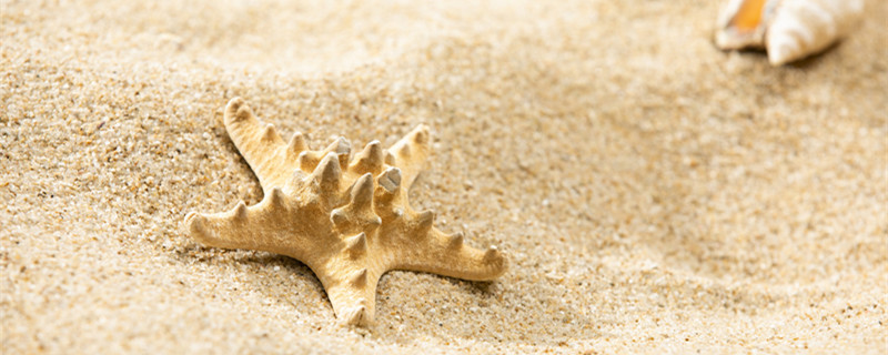 海沙的用途  海沙的用途是什么