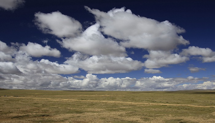 黄土高原的气候类型 黄土高原的气候类型是什么