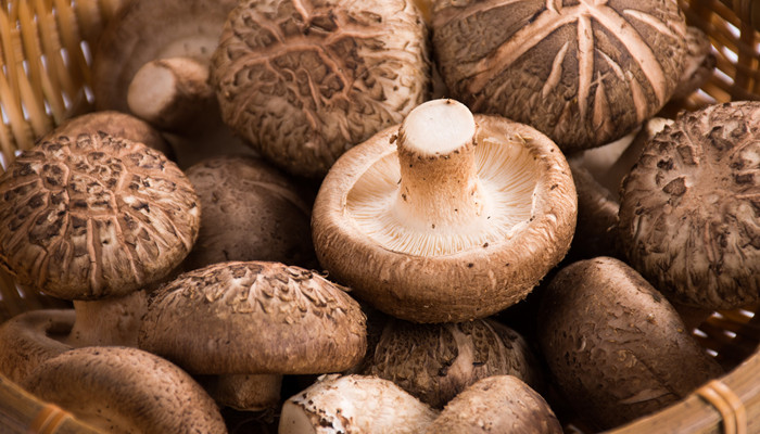 新鲜香菇怎么保存 新鲜香菇保存方法