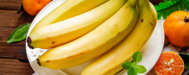 为什么香蕉里看不到种子 香蕉如何培育