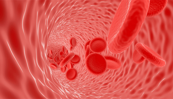 为什么血型不合不能进行输血 血型不合输血的后果