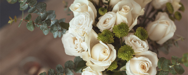 送白玫瑰代表什么意思 白玫瑰的花语